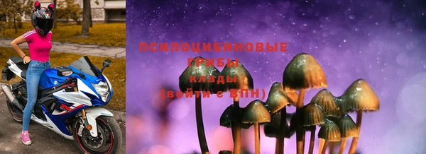 дурь Сатка
