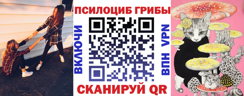 Псилоцибиновые грибы Psilocybe  hydra как зайти  Слободской 